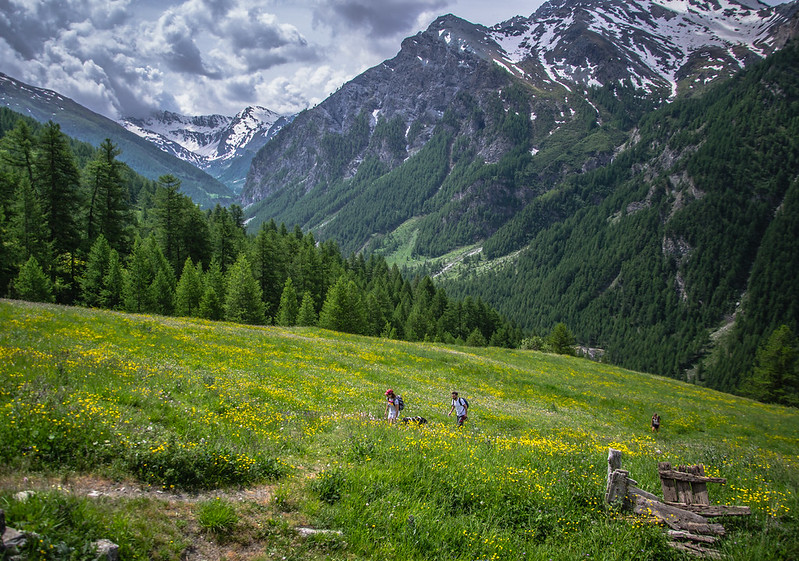val troncea immersi nel verde e nei prati