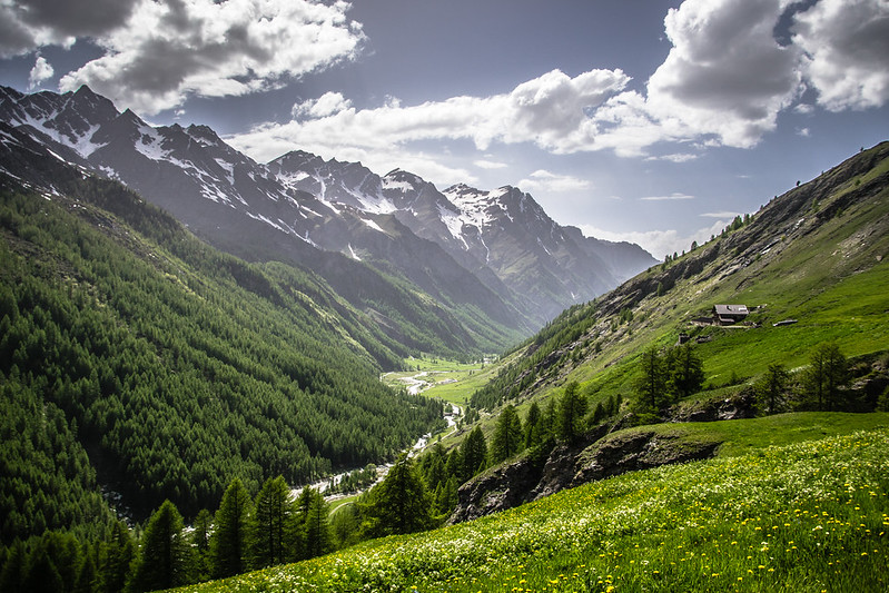 verde in Valle Argentera, panorama