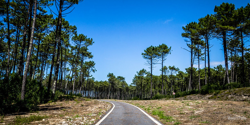 Strada per Torreira