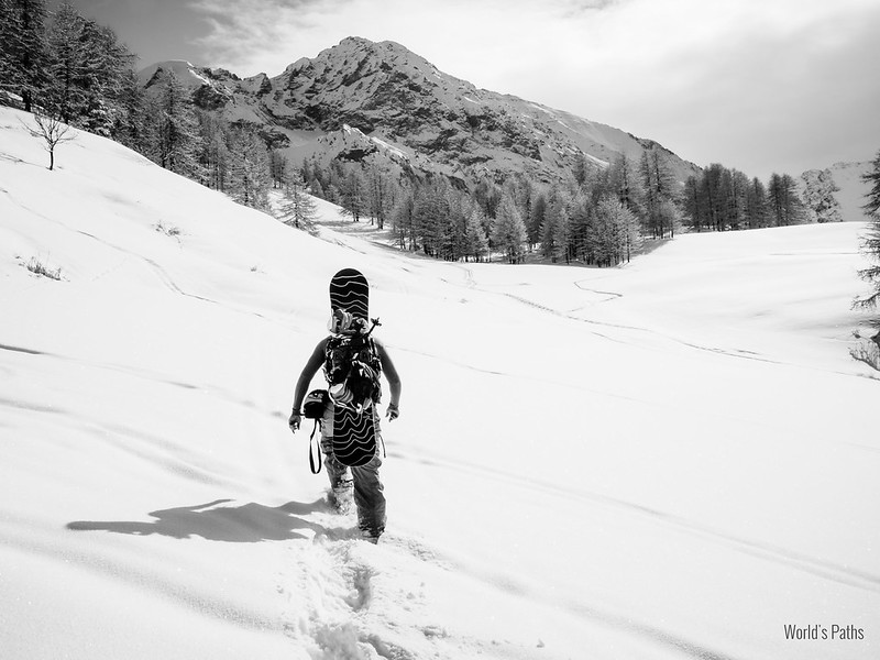 Verso Cima del Bosco