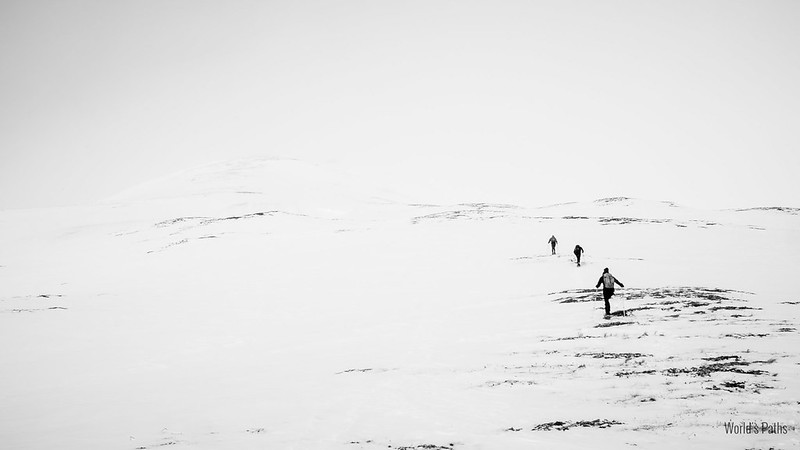 Punta Leysser