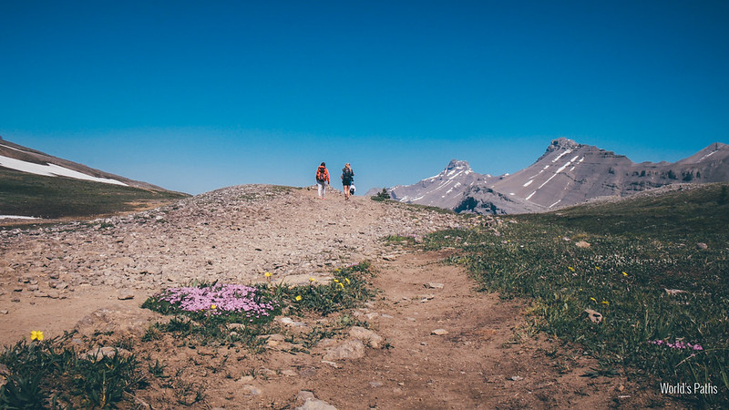 saskatchewan glacier hike