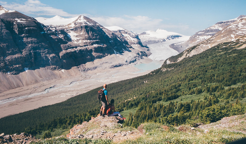 saskatchewan glacier hike