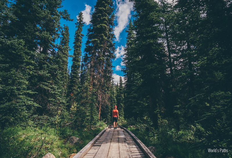 Trail to