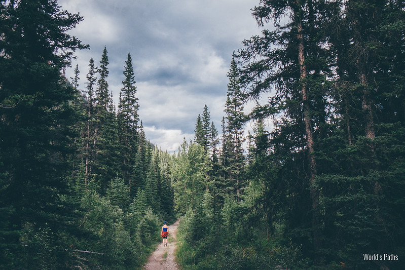 Trail to
