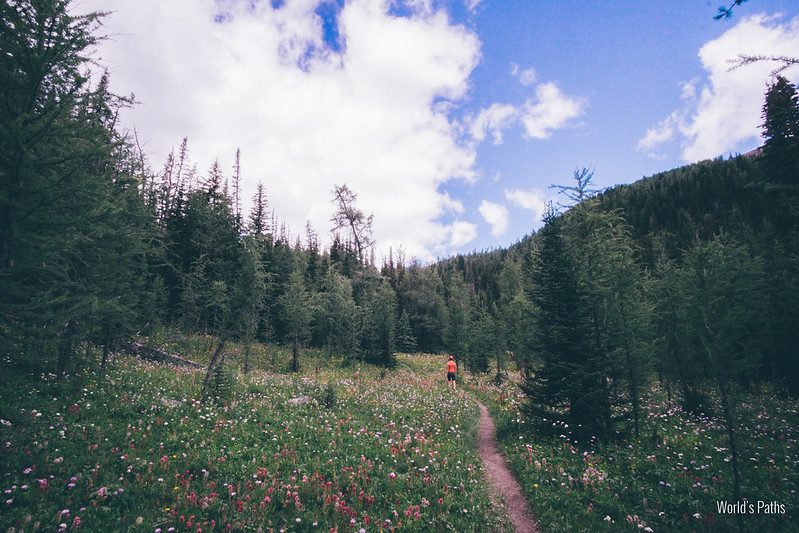 Trail to