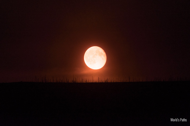 sorge la luna