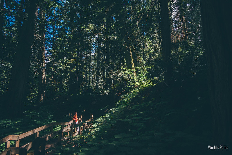 Vancouver Road Trip, day 5