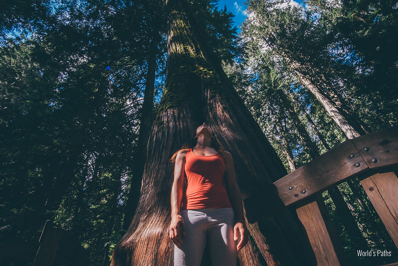 Vancouver Road Trip, day 5