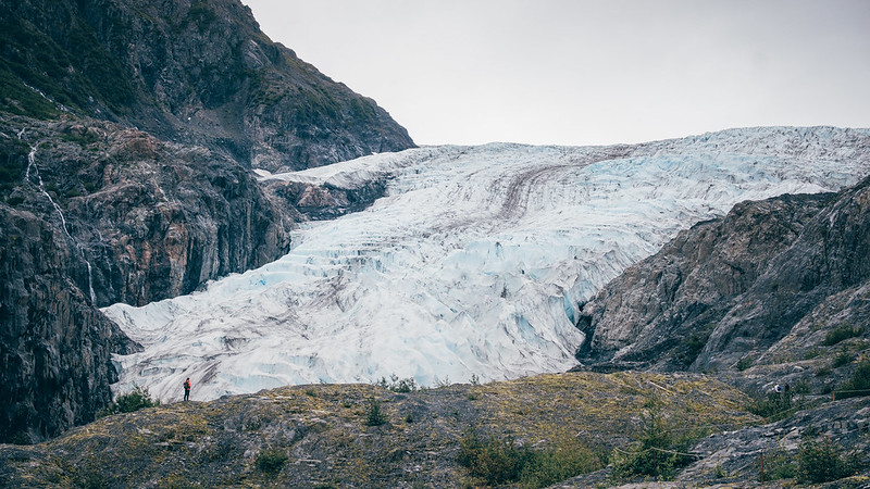 Exit Glacier - Harding Icefield