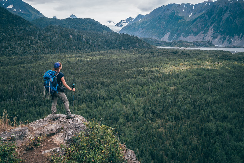 Da homer a Exit Glacier