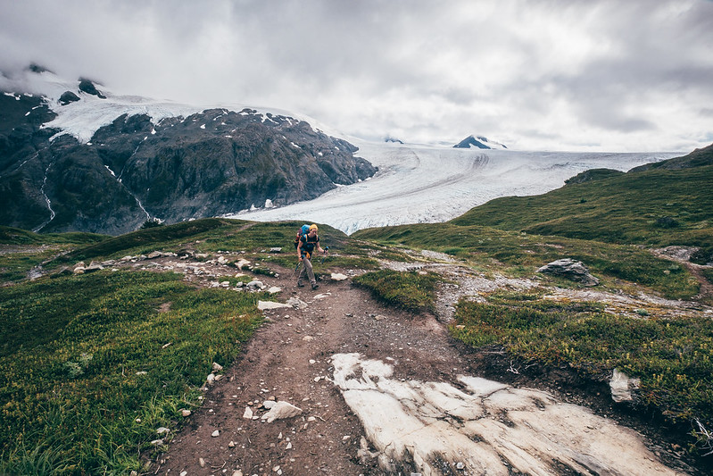 Exit Glacier - Harding Icefield